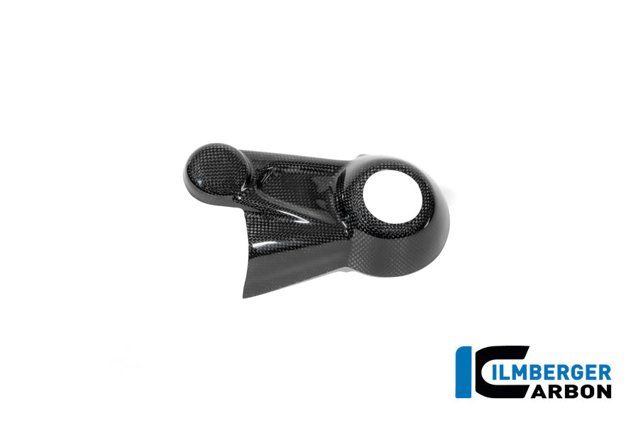 Cardanas beschermer glanzend carbon carbon BMW R12S (2025+)