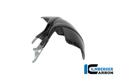 Achterspatbord (hugger) glanzend carbon BMW R12S (2025+)