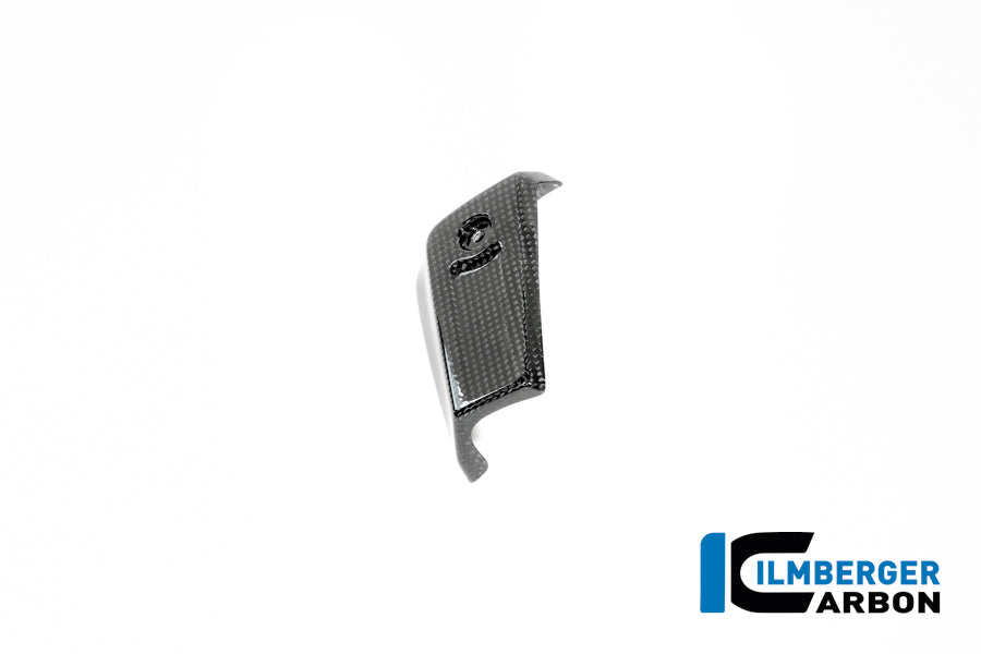 Oliekoeler cover links glanzend carbon BMW R12S (2025+)
