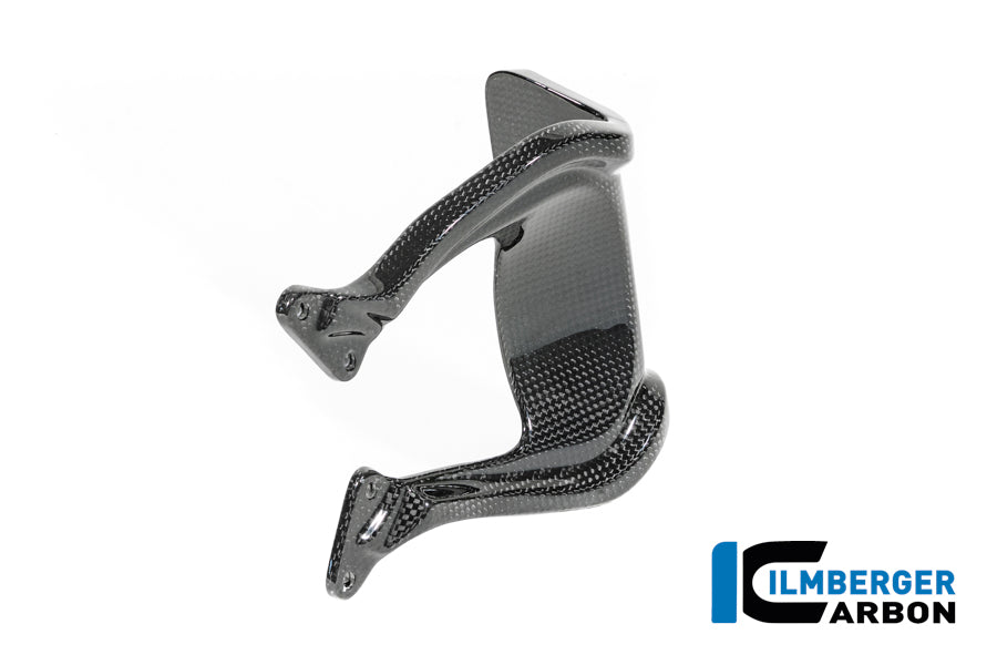 Windscherm glanzend carbon BMW R12S (2025+)