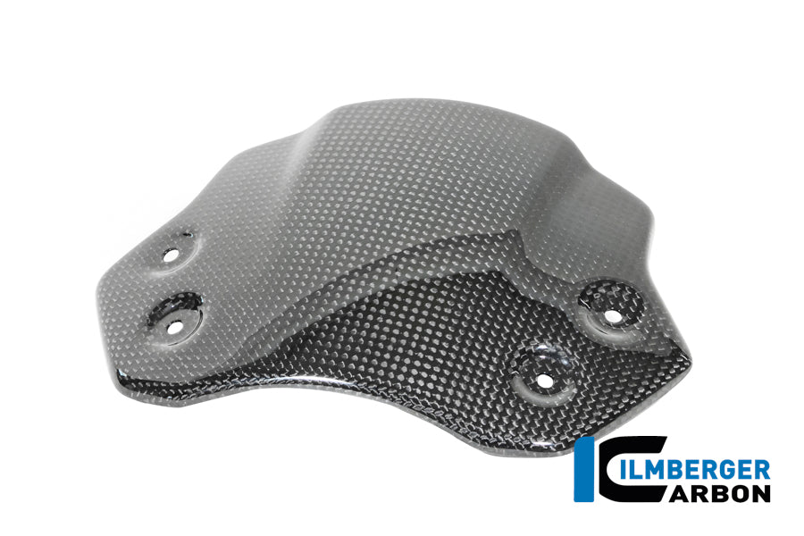 Windscherm glanzend carbon BMW R12S (2025+)