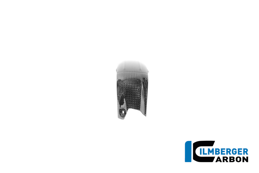 Bougiedop cover links glanzend carbon BMW R12S (2025+)