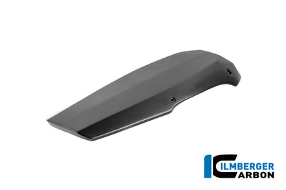 Motor Spoiler Matt Carbon R 12 Nine T 2024+