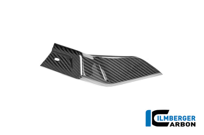Panneau latéral sous le réservoir gauche BMW R 1250 R (2019+)