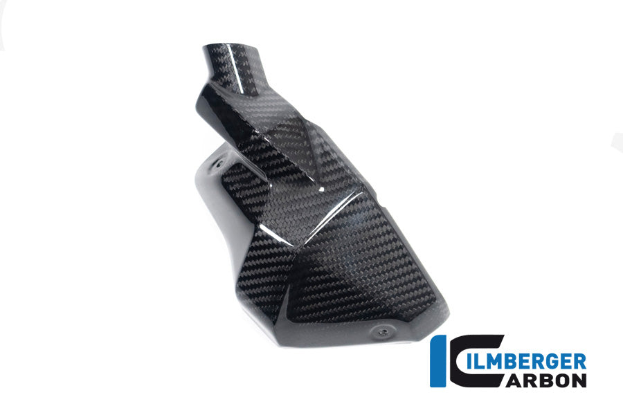 Injector Cover links glanzend carbon BMW R1300GS Option 719 Tramuntana 2023+