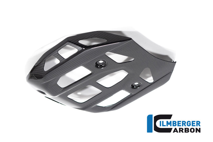 Motorblok beschermer glanzend carbon BMW R1300GS Option 719 Tramuntana 2023+