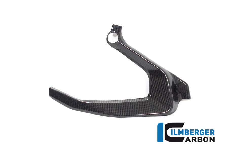 Frame Cover links glanzend carbon BMW R1300GS Adventure Trophy 2024+