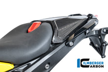 Duozit afdekking carbon hoogglans BMW R1300RS Option 719 Cuyamaca (2025+)