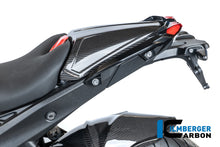 Duozit afdekking carbon hoogglans BMW R1300R Exclusive (2025+)