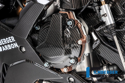 Dynamodeksel glanzend carbon BMW M 1000 R (2025+)