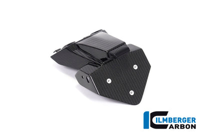 Kentekenplaathouder glanzend carbon BMW M 1000 RR Street (2025+)