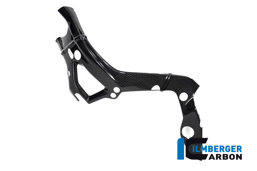 Frame cover M Frame groot links BMW S1000RR (2019-2022)