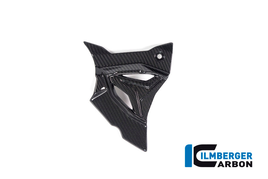 Front Sprocket Cover glossy carbon BMW S1000RR (2023-2024)