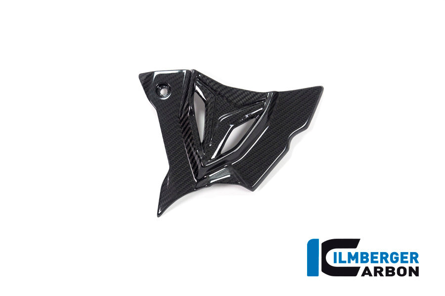 Front Sprocket Cover glossy carbon BMW S1000RR (2023-2024)