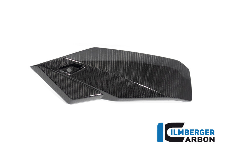 Bellypan left side Glossy Carbon BMW S1000R (2021-2024)