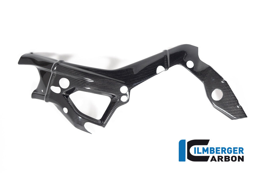 Frame Cover links glanzend carbon BMW M 1000 R (2023-2024)