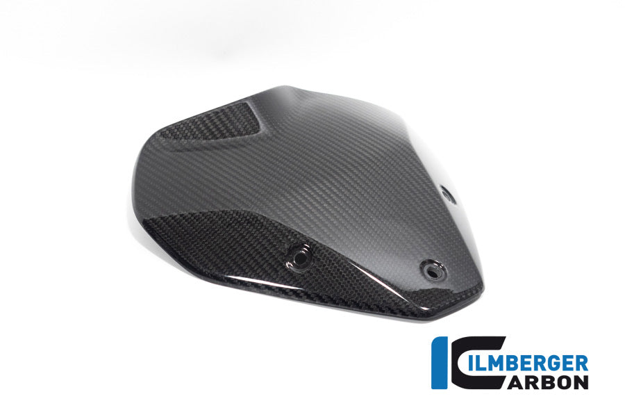 Windshield Glossy Carbon BMW S1000R (2021-2024)