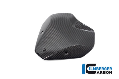Windscherm glanzend carbon BMW M 1000 R (2025+)