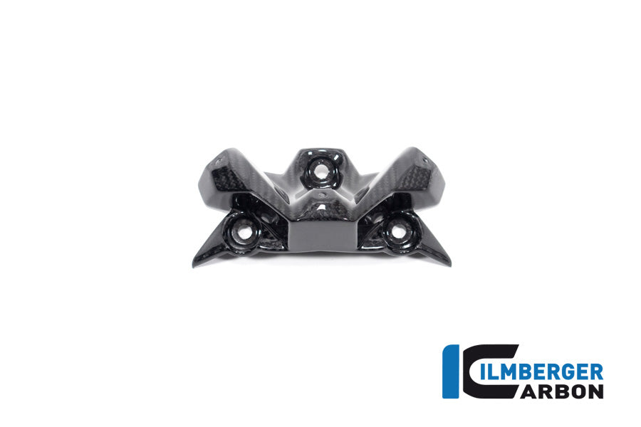 Windscherm glanzend carbon BMW M 1000 R (2025+)