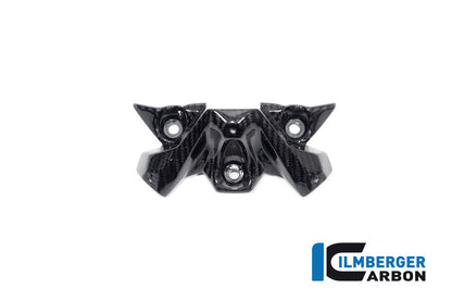 Windscherm glanzend carbon BMW M 1000 R (2025+)