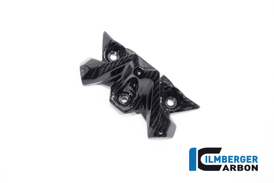 Windscherm glanzend carbon BMW M 1000 R (2025+)