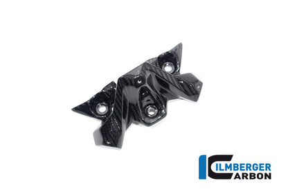 Windscherm glanzend carbon BMW M 1000 R (2025+)