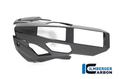 Bellypan one-piece glanzend carbon BMW M 1000 R (2025+)