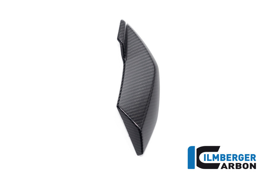 Koplamp zijpaneel links glanzend carbon BMW M 1000 R (2023-2024)