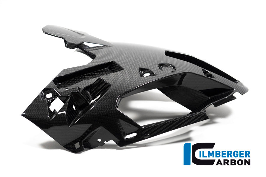 Luchtinlaat topkuip carbon BMW M 1000 XR (2024+)
