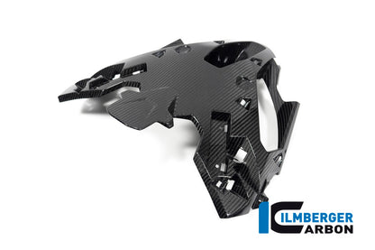 Luchtinlaat topkuip carbon BMW M 1000 XR (2024+)