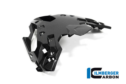 Luchtinlaat topkuip carbon BMW M 1000 XR (2024+)