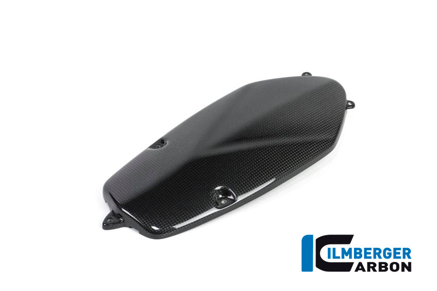 Dynamodeksel beschermer cover carbon BMW R 1200 S (2006-2008)