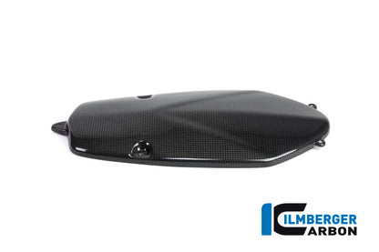 Dynamodeksel beschermer cover carbon BMW R 1200 S (2006-2008)