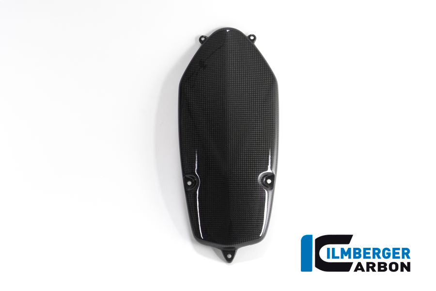Dynamodeksel beschermer cover carbon BMW R 1200 S (2006-2008)