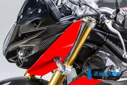 Carbon koplamppaneel links BMW S1000R (2017-2020)