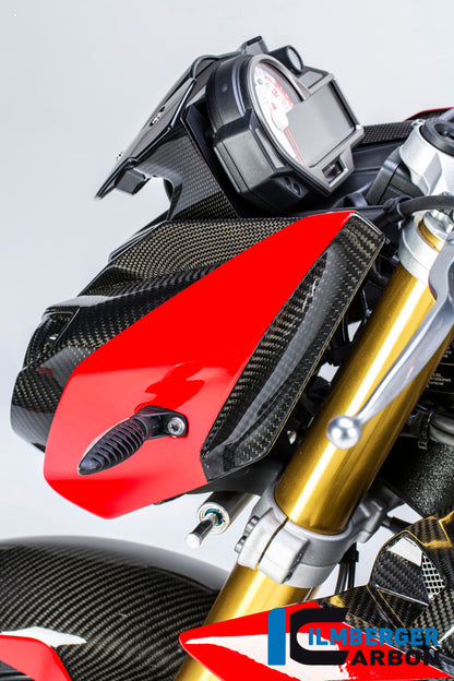Carbon koplamppaneel links BMW S1000R (2017-2020)