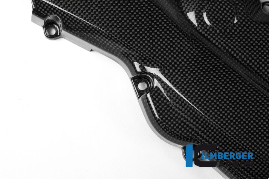 
                  
                    Beltcover glossy carbon - Ducati Monster 1200 2017+ Ducati Monster 1200 (2017-2021)
                  
                