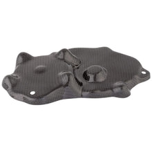 Lightech Carbon Pick-Up Cover (shiny) Kawasaki ZX636 (2009-2021)