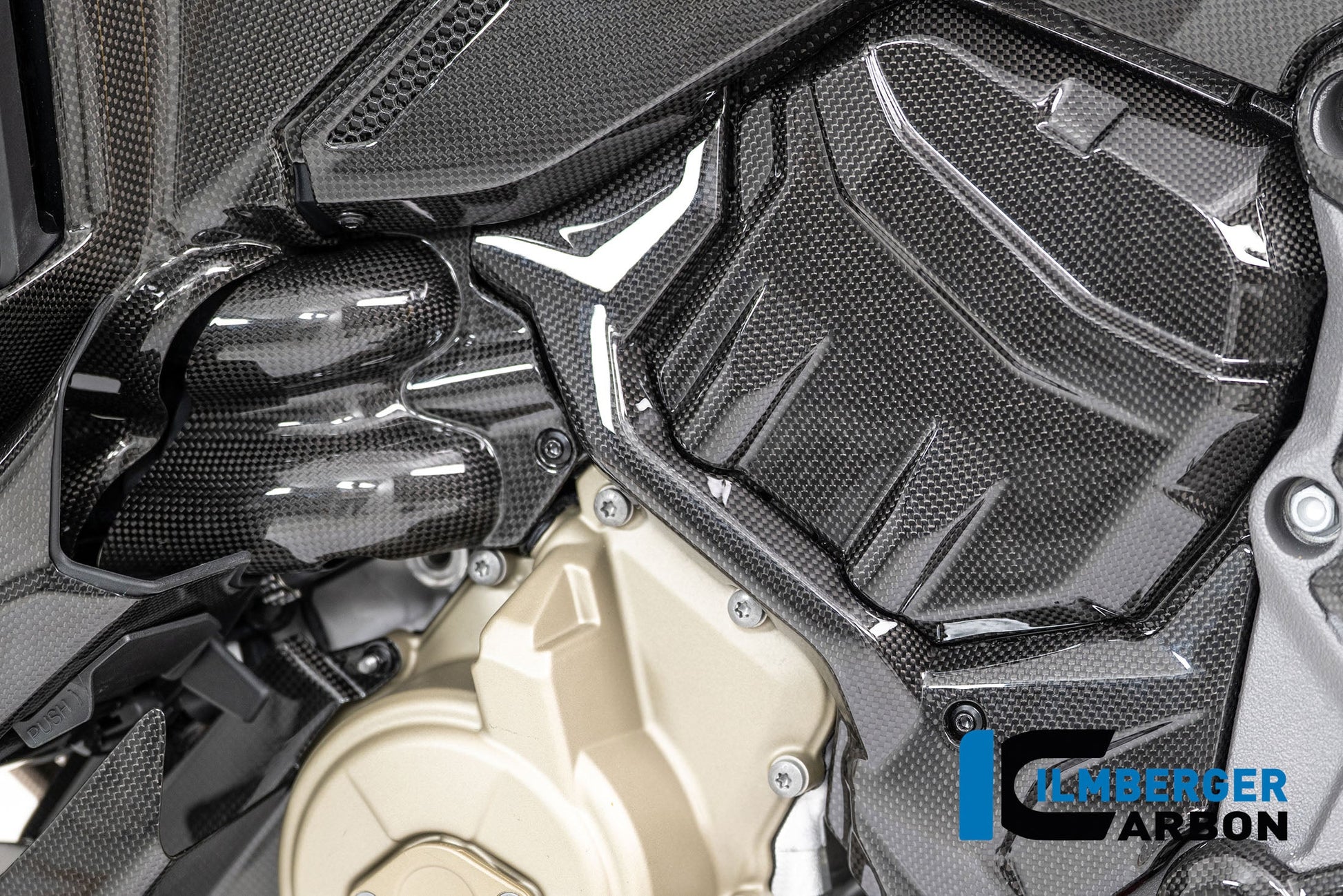 Waterpomp beschermer glanzend carbon Ducati Multistrada V4 Pikes Peak (2025+)