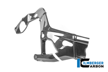 Frame beschermer (rechts) glanzend carbon - BMW M 1000 RR Street (2025+)