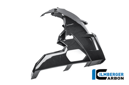 Bellypan glanzend carbon BMW M 1000 RR Street (2025+)