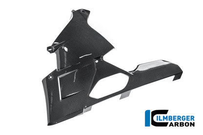 Bellypan glanzend carbon BMW M 1000 RR Street (2025+)
