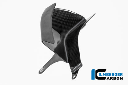Onderste winglet links glanzend carbon Ducati Multistrada V4 (2025+)
