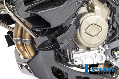 Onderste winglet links glanzend carbon Ducati Multistrada V4 (2025+)