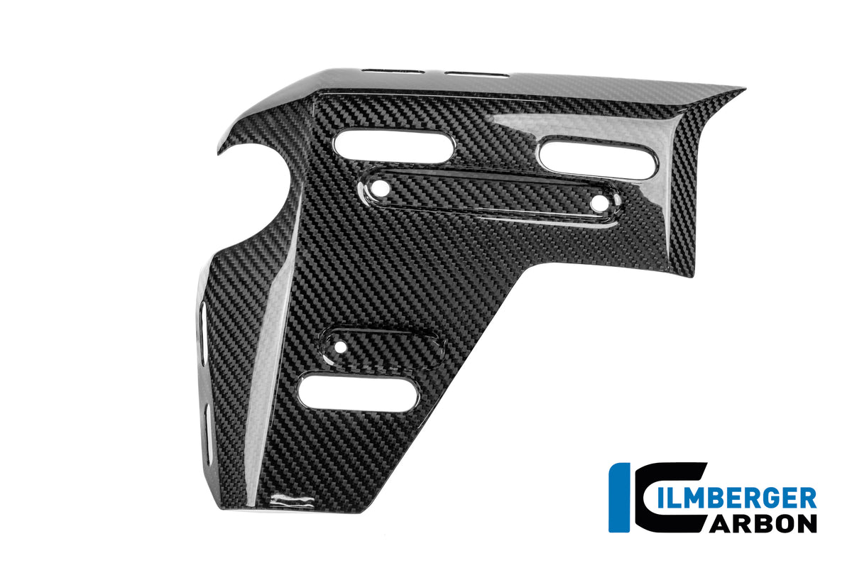 Radiator zijpaneel links met montagepunten voor zijkoffers glanzend carbon BMW R1300GS Adventure (2024+)