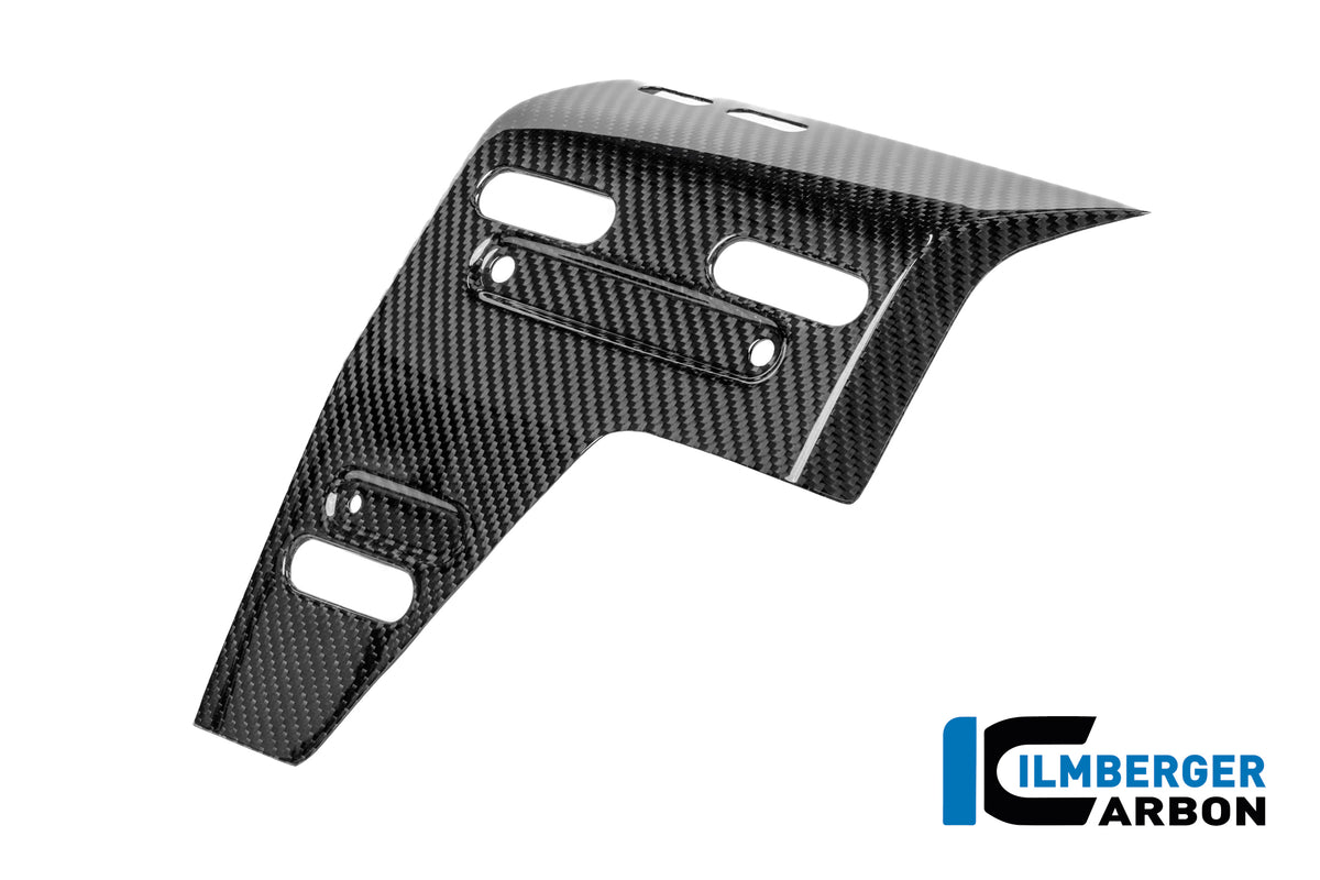 Radiator zijpaneel links met montagepunten voor zijkoffers glanzend carbon BMW R1300GS Adventure (2024+)