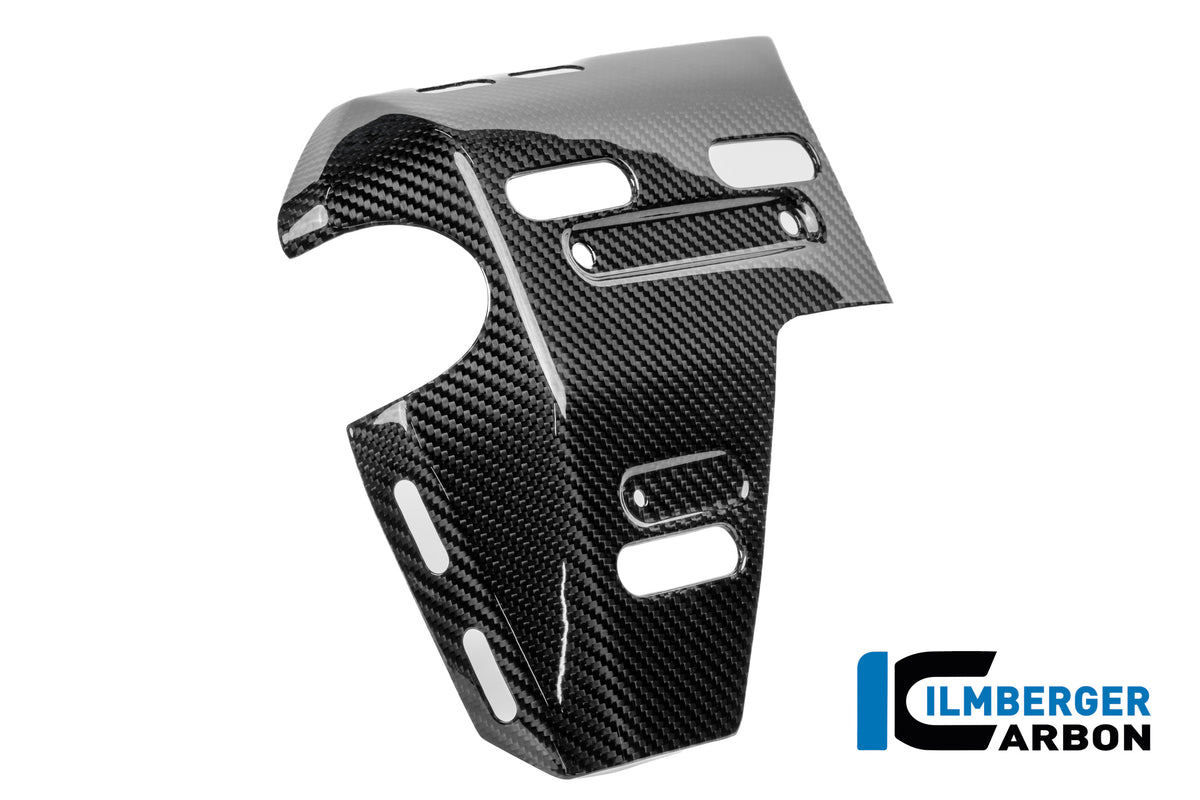 Radiator zijpaneel links met montagepunten voor zijkoffers glanzend carbon BMW R1300GS Adventure (2024+)