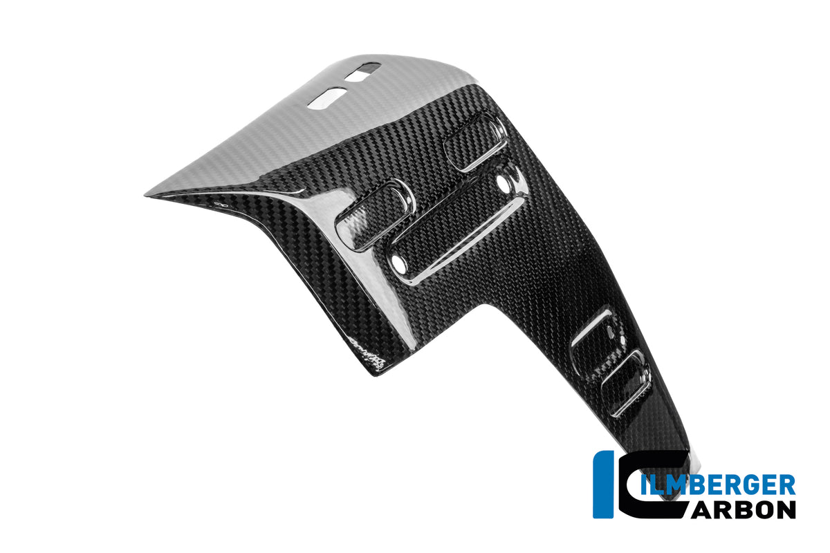 Radiator zijpaneel rechts glanzend carbon BMW R1300GS Adventure (2024+)