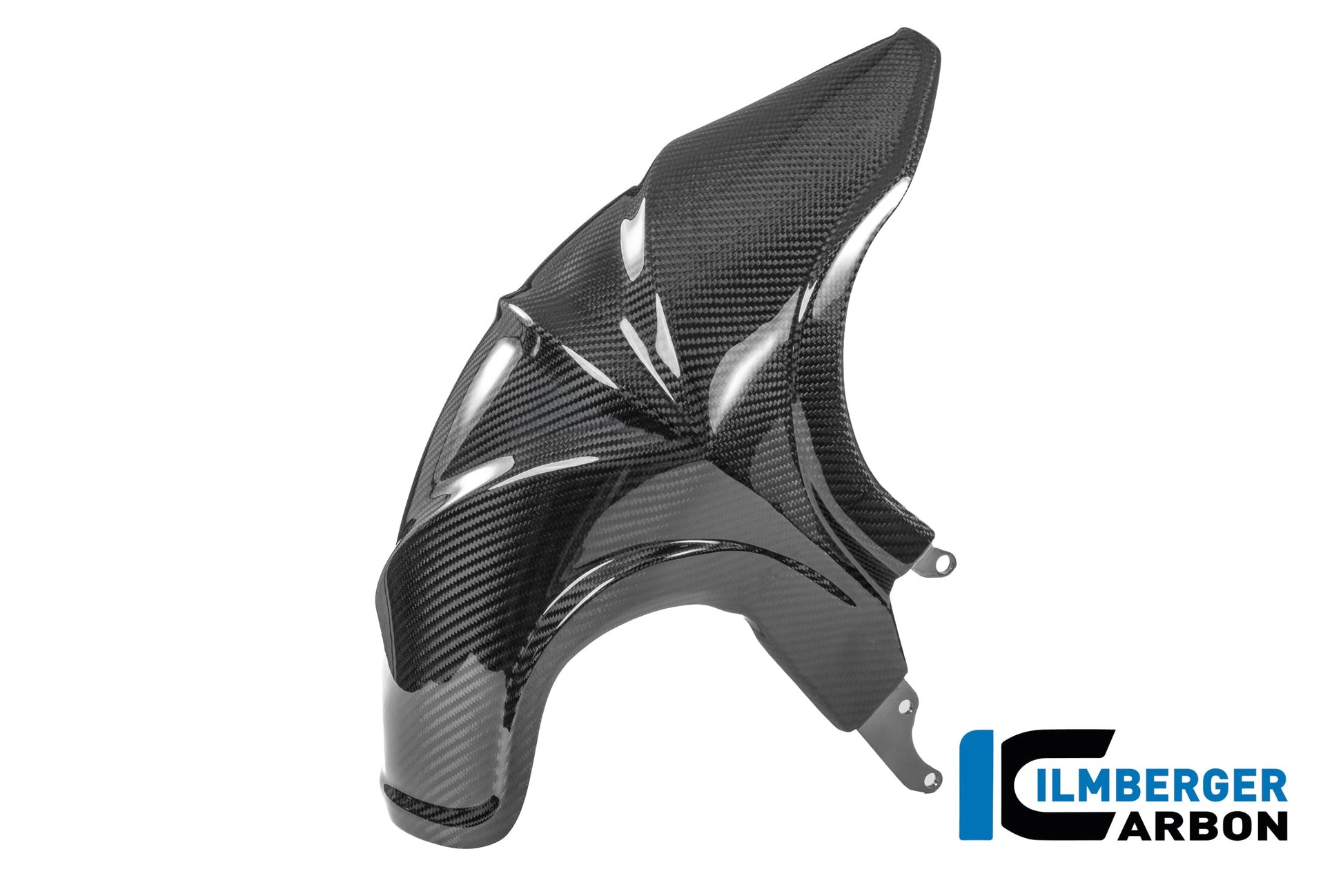 Achterspatbord carbon hoogglans BMW R1300RS Option 719 Cuyamaca (2025+)