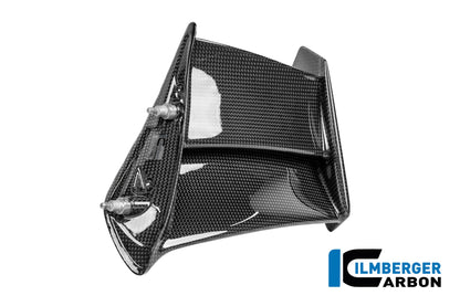 Winglet V4R-stijl (links) glanzend carbon Ducati Panigale V4S (2025+)